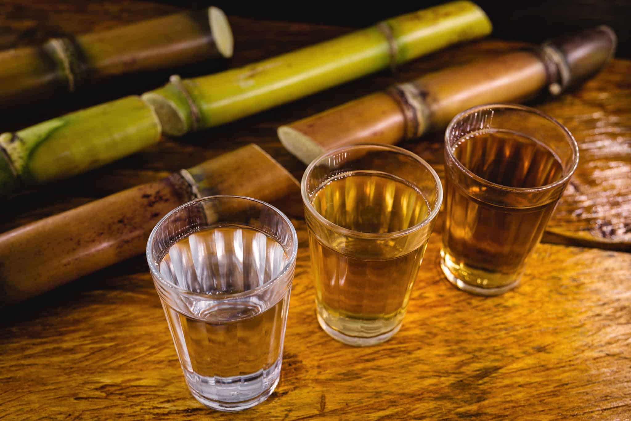 dégustation de plusieurs bières