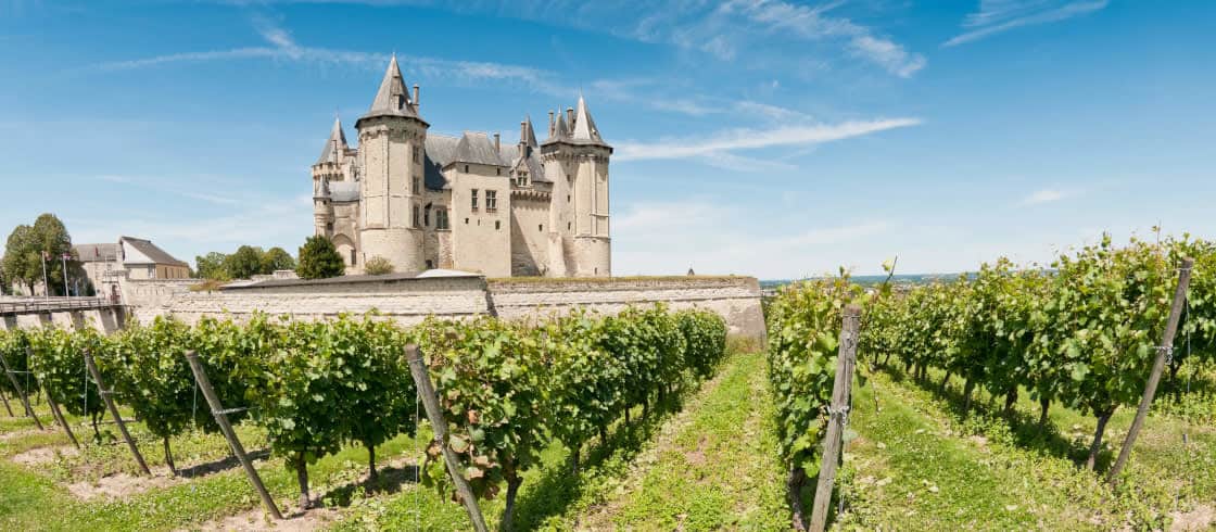 Image d'une église dans les vignes au pied d'une falaise du languedoc